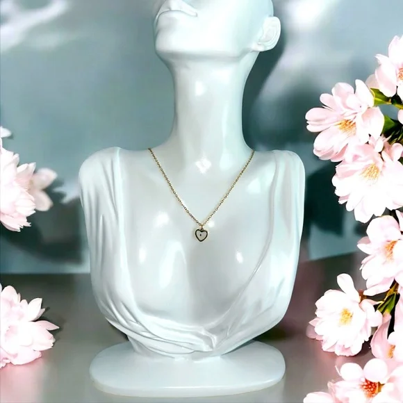 Matthew 17:20 Gold Heart Stainless Steel Necklace with Mustard Seed in resin π - Picture 1 of 4